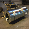 2205 Stainless Steel Coil